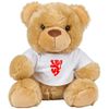 Highridge United Supporters Teddy Bear